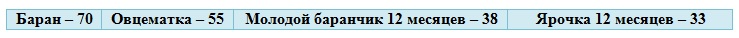 Бараний вес - сколько весят бараны разных направлений в среднем