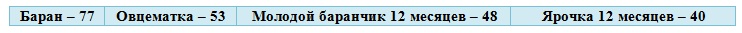 Бараний вес - сколько весят бараны разных направлений в среднем